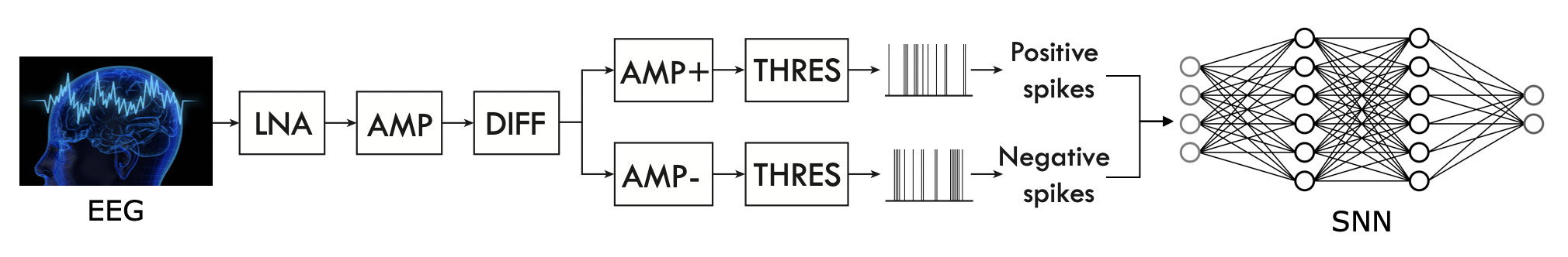 Neuromorphic EEG Sensor System Architecture